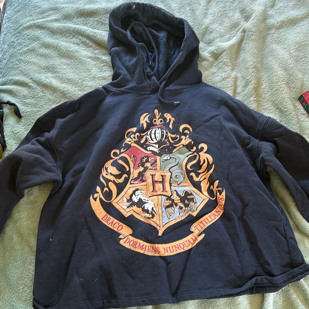 Harry Potter cropped hoodie